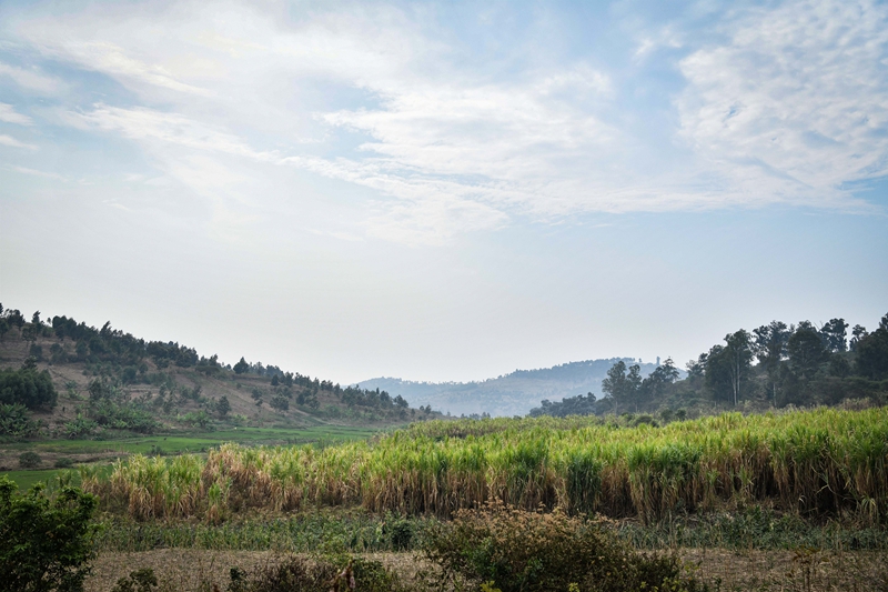 绿色创新点燃世界现代化新引擎——“中国发展实践的文明启示”系列述评之二(图5)