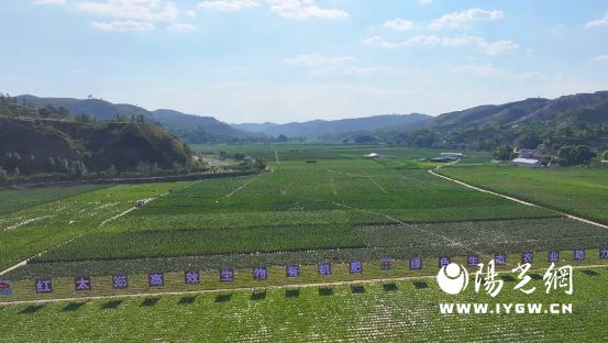 子洲县中欧国际乡村振兴产业园：绒山羊“织”就生态富民新图景(图3)
