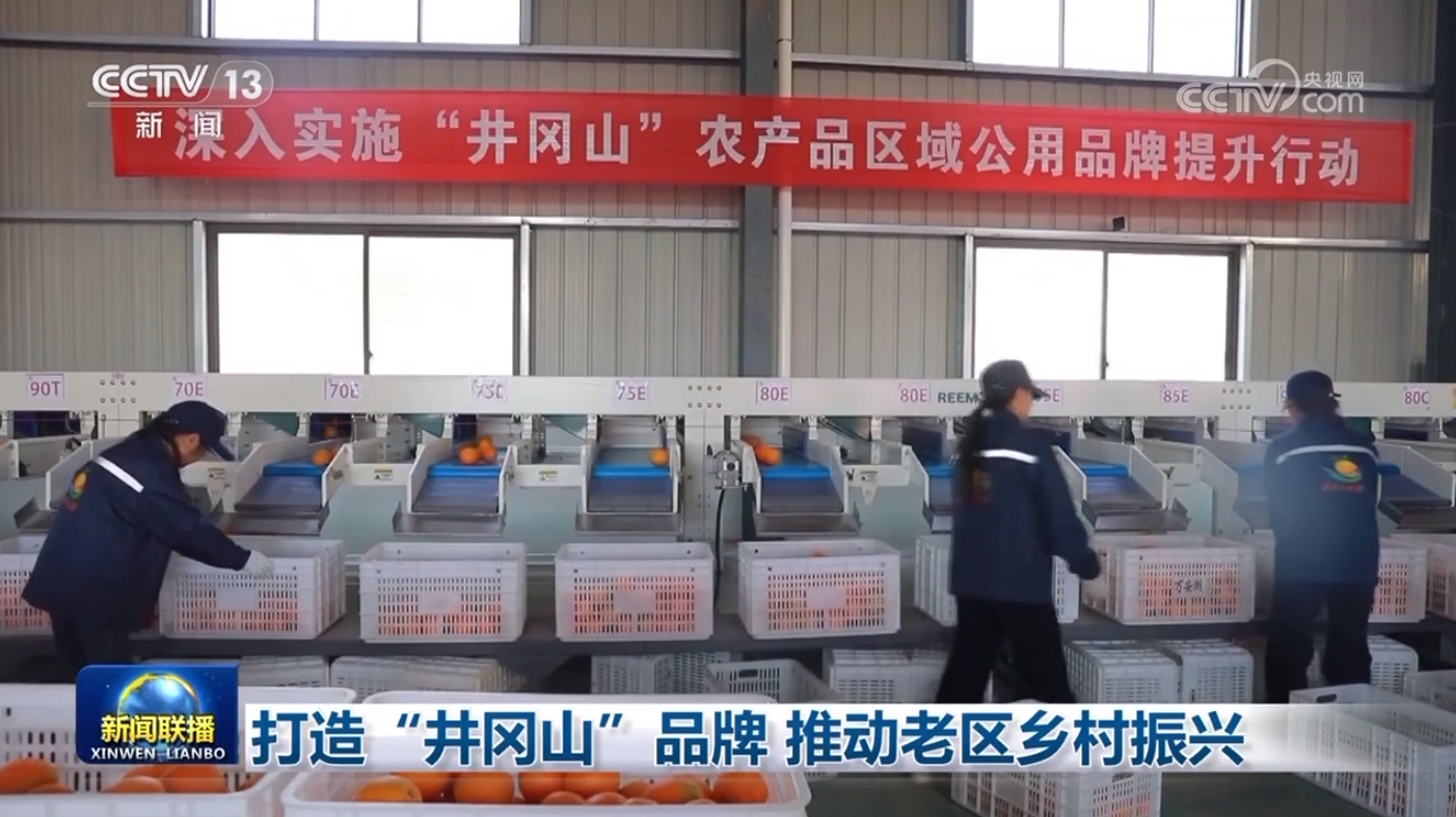 打造“井冈山”品牌推动老区乡村振兴(图2)