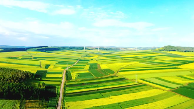 牙克石市成“形”起“势”绘出高质量发展“上扬曲线”(图16)