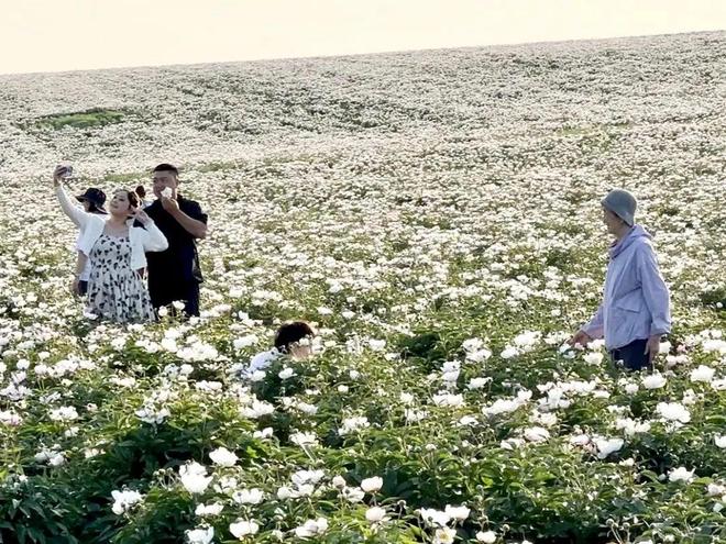 牙克石市成“形”起“势”绘出高质量发展“上扬曲线”(图19)