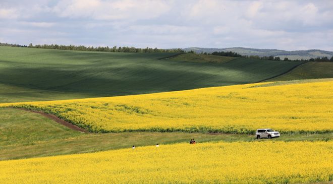 牙克石市成“形”起“势”绘出高质量发展“上扬曲线”(图20)