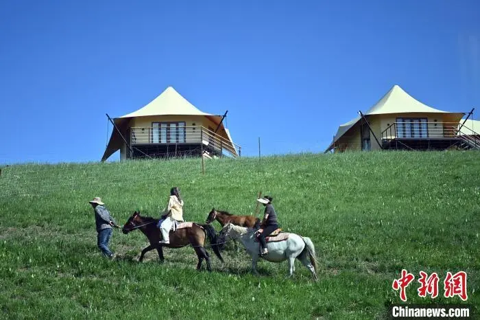 海外华媒打卡陇上藏寨世界最佳旅游乡村让人流连忘返(图3)