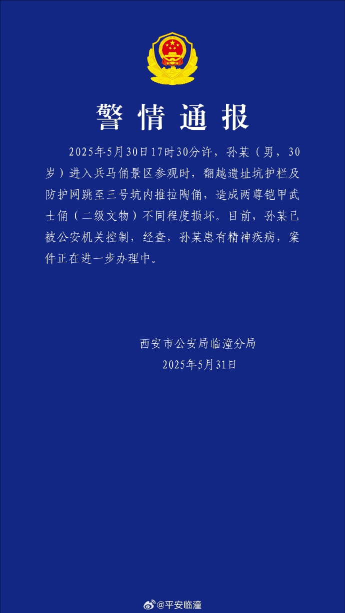 熊猫体育：【8点见】男子跳入兵马俑坑推倒兵马俑官方通报(图3)