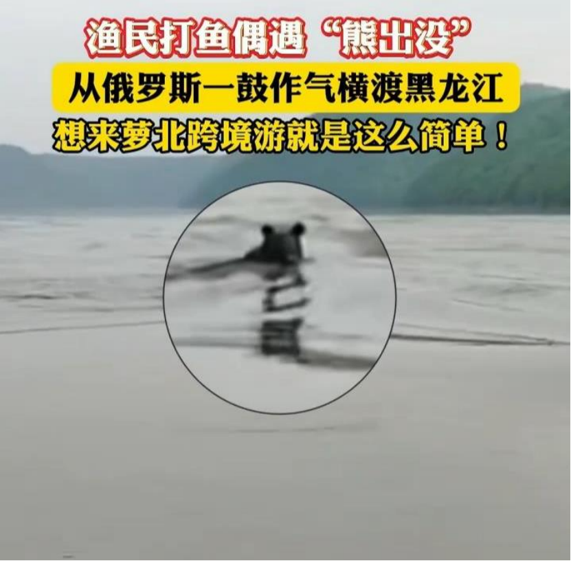 熊猫体育：【8点见】男子跳入兵马俑坑推倒兵马俑官方通报(图6)