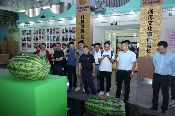熊猫体育：“瓜香引凤聚商机政企联动促发展”北京大兴庞各庄镇2025年西瓜季政企联动产业推介活动圆满举行(图3)