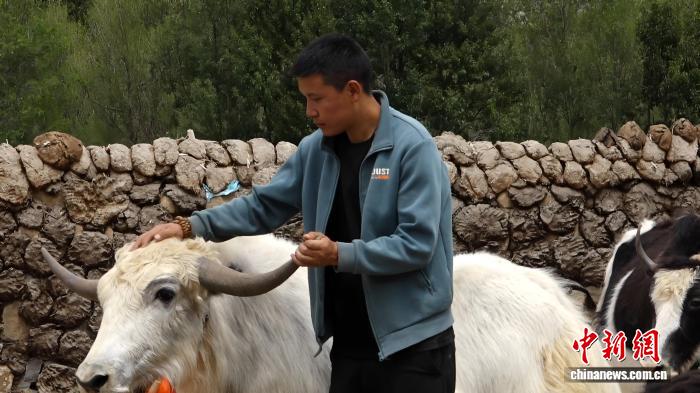 熊猫体育资讯：辉煌60载魅力新西藏｜从“马背”到“指尖”金融服务温暖西藏乡村振兴路(图3)