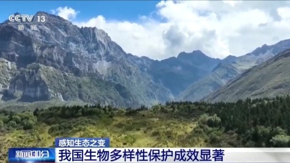 熊猫体育：感知生态之变丨从67万到148万种见证生物多样性保护中国答卷(图2)