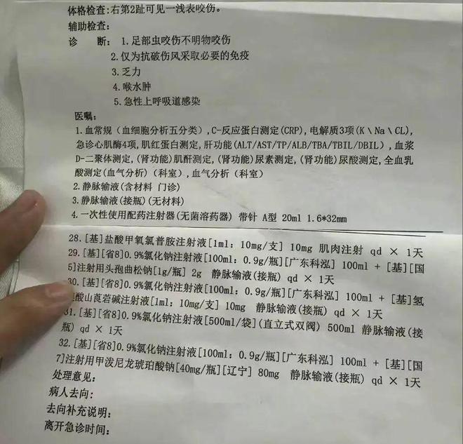 熊猫体育：女子三亚旅游被蛇咬至身亡过程及进展：官方介入家属称或考虑尸检(图5)