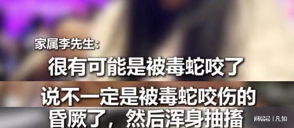 熊猫体育资讯：27岁女孩被蛇咬身亡后续：生活照曝光家属透露更多细节官方通(图5)