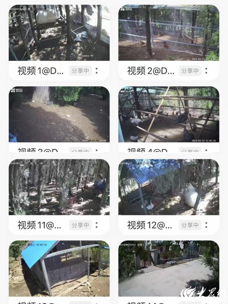 山间牧歌里的产业革新：一正有机的坚守与智慧突围(图5)