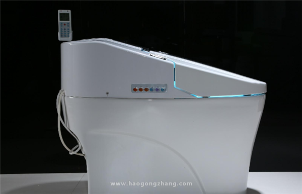 智能马桶哪个品牌好(图2)