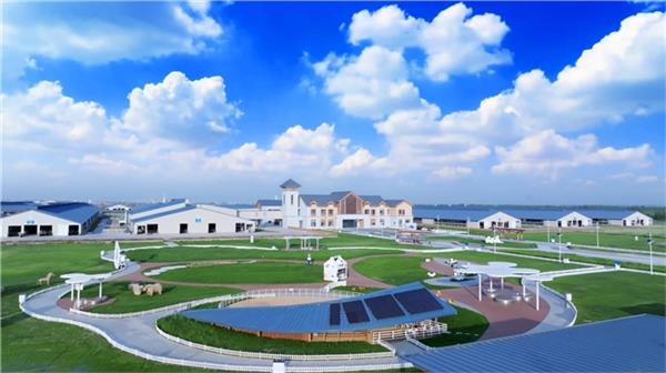 行业领先优势持续扩大释放加速向好信号优然牧业上半年营收10284亿元(图2)