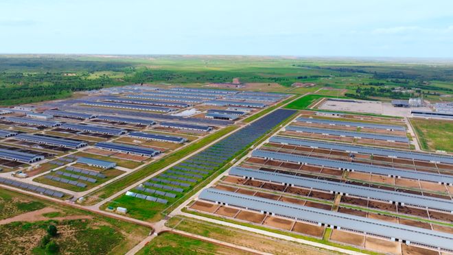 记者带你看项目科技创新牵动乡村产业发展的“牛鼻子”(图3)