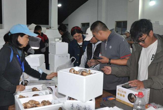 雅江松茸“鲜”飘万里“中国松茸之乡”为全球餐桌增味提鲜(图4)