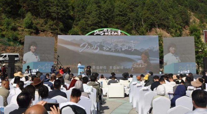 雅江松茸“鲜”飘万里“中国松茸之乡”为全球餐桌增味提鲜(图2)