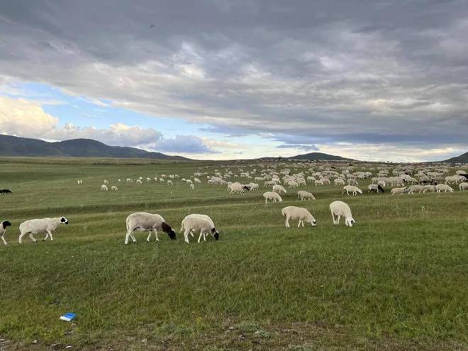 熊猫体育：山顶见火锅邀十二城合伙人溯源西乌珠穆沁羊源基地共证品质实力(图2)