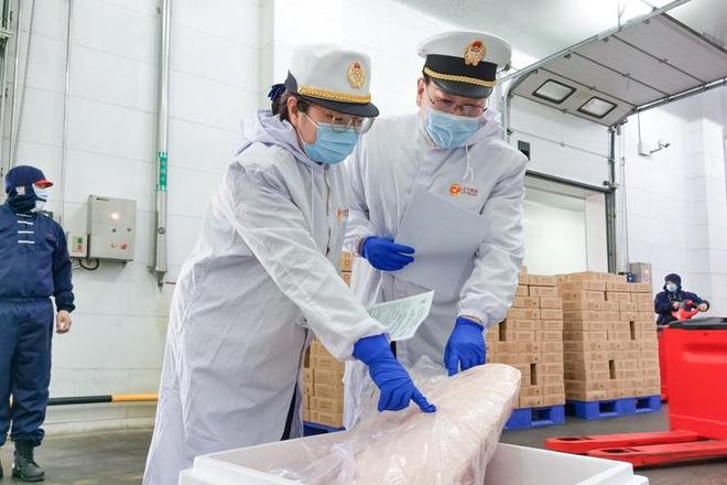 为何有的猪肉盖的是红章有的是蓝章哪种章的猪肉更健康？(图9)