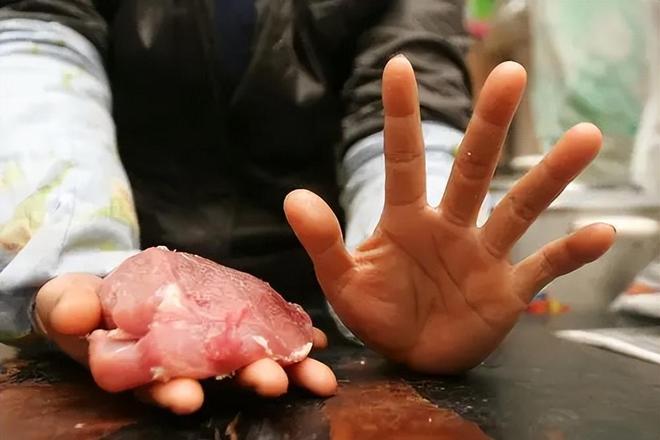 为何有的猪肉盖的是红章有的是蓝章哪种章的猪肉更健康？(图6)