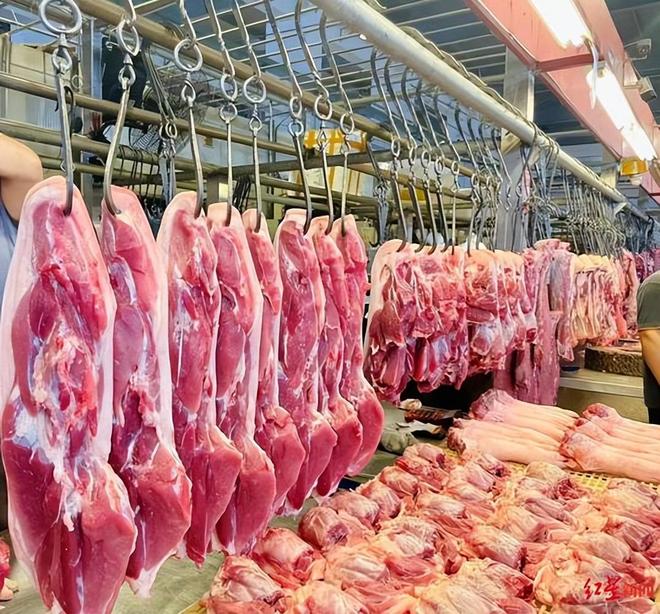 为何有的猪肉盖的是红章有的是蓝章哪种章的猪肉更健康？(图14)