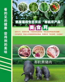 熊猫体育资讯:唯一“破发”可转债即将谢幕“中装转2”迎来重整时刻