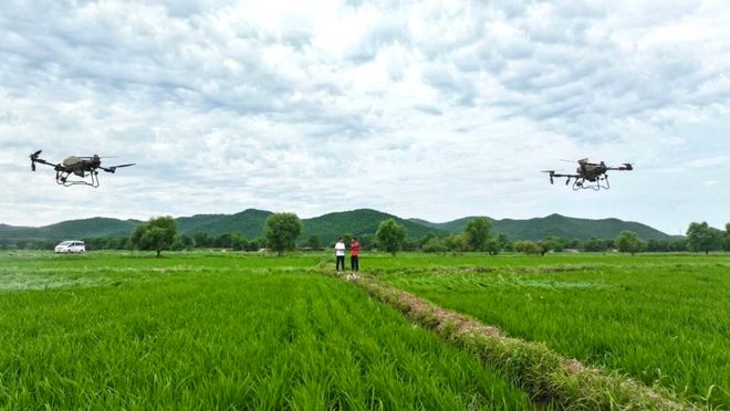 芒来模式：草原牧区可持续发展的创新样本(图2)