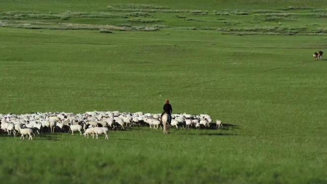 芒来模式：草原牧区可持续发展的创新样本(图3)