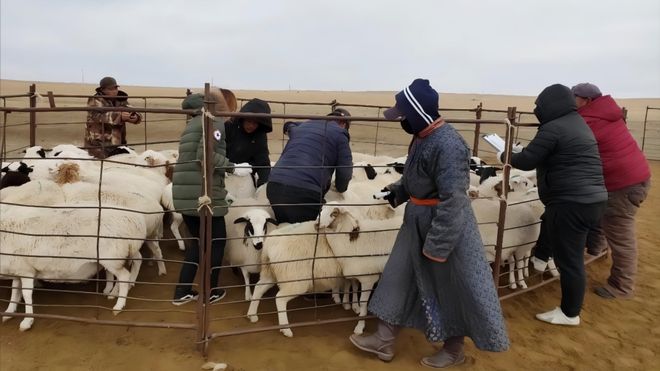 芒来模式：草原牧区可持续发展的创新样本(图6)