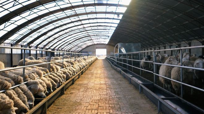 芒来模式：草原牧区可持续发展的创新样本(图9)