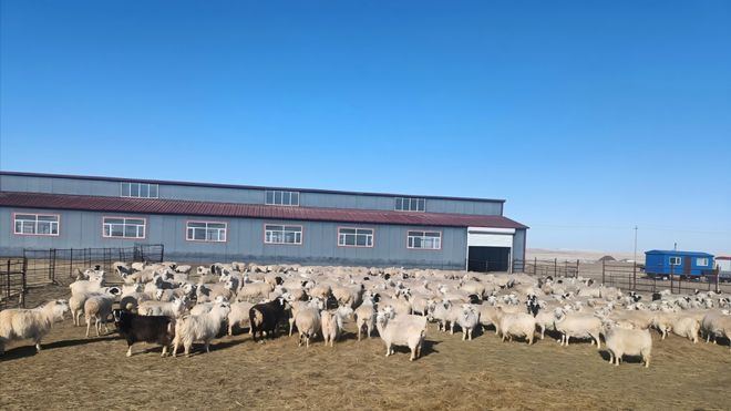 芒来模式：草原牧区可持续发展的创新样本(图8)