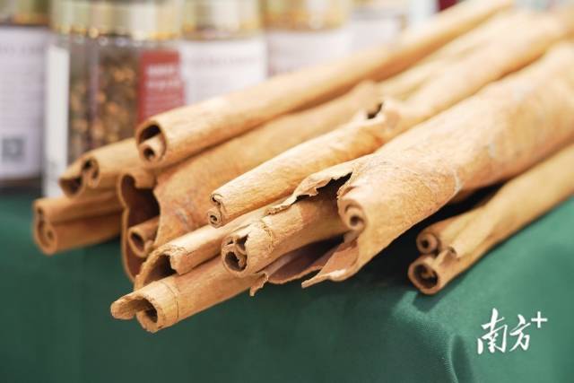 粤味飘四海！广东绿色优质农产品在全国名特优新展会上惊艳亮相(图6)