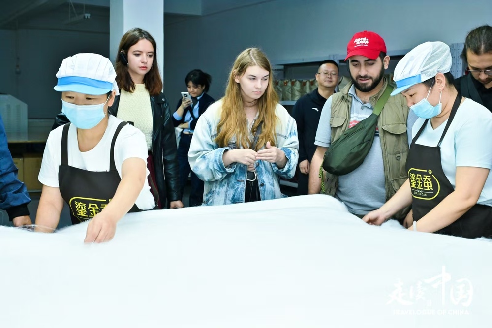 走近石泉池河养蚕故事外国记者感叹中国乡村振兴新进程(图4)