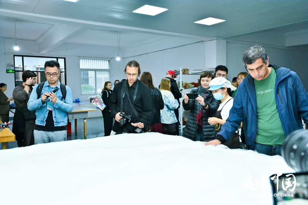 走近石泉池河养蚕故事外国记者感叹中国乡村振兴新进程(图3)