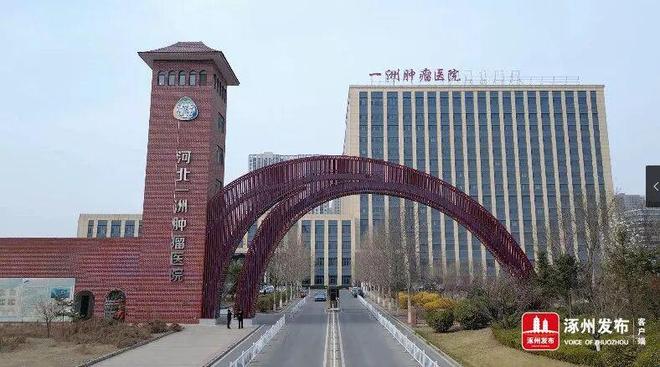 鹏渤集团：聚力转型破局多元协同发展(图5)