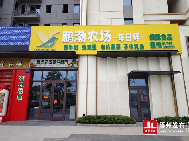 鹏渤集团：聚力转型破局多元协同发展(图7)