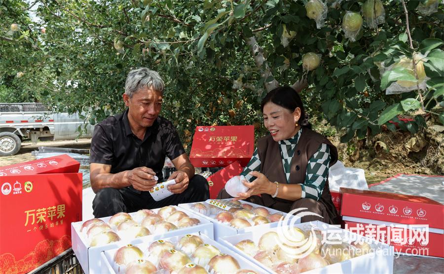 万荣苹果凭啥“出圈”(图2)