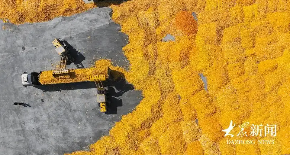 蹲点调查丨破“碱”重生(图2)