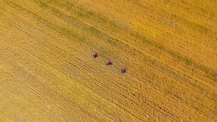 蹲点调查丨破“碱”重生(图3)