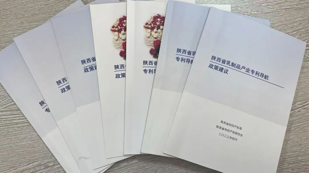 熊猫体育：柯坪：56册专利导航助力绘就县域发展新图景(图3)