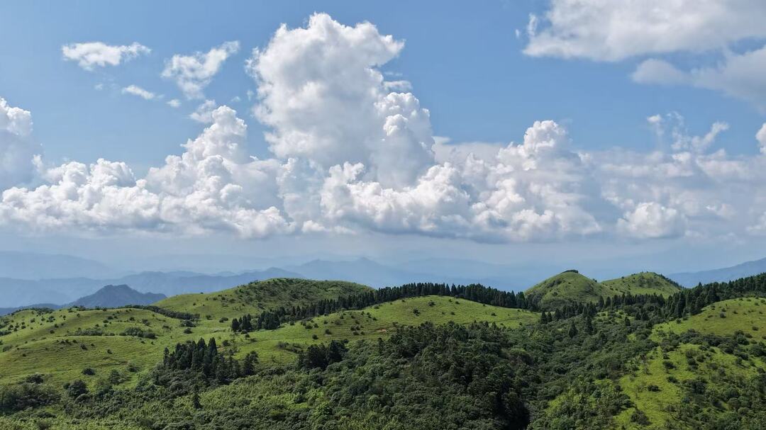 熊猫体育资讯：南山记事：人与自然和谐共荣绘就生态与发展共生图景(图2)