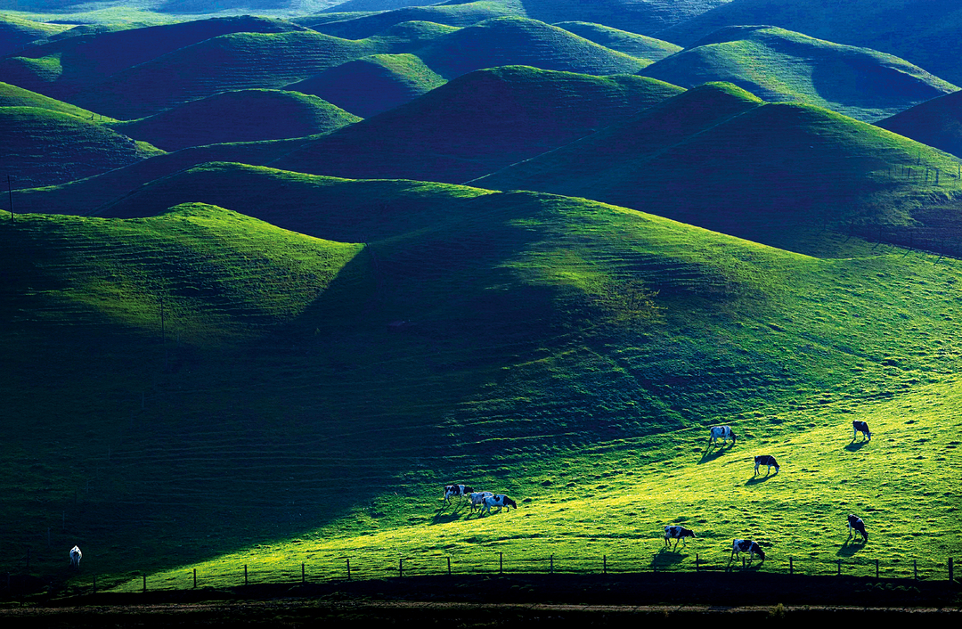熊猫体育资讯：南山记事：人与自然和谐共荣绘就生态与发展共生图景(图3)