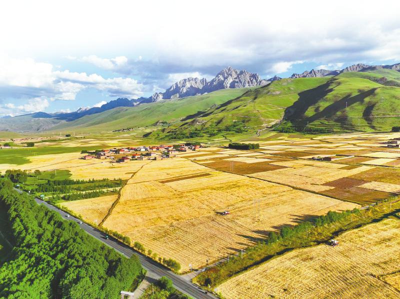 熊猫体育资讯：破除海拔高、耕地少、交通差等农业发展制约要素(图2)