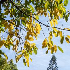 熊猫体育资讯:2024智能马桶十大公认品牌(图4)