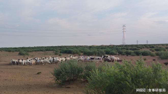 冬季牛羊肉消费升温：进口占比近3成本土好羊看宁夏(图5)