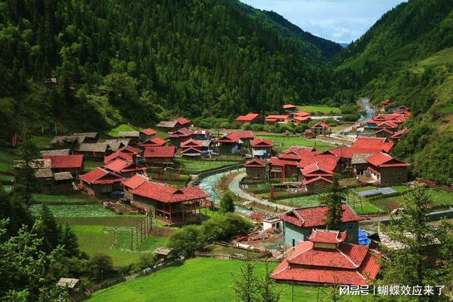 高原小城绿色崛起黑水亮相四川县域经济高质量发展主题新闻发布会(图5)