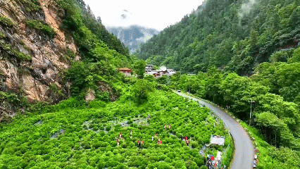 青稞“蜕变”牦牛“出圈”!看西藏农牧民的“十四五”丰收答卷(图4)