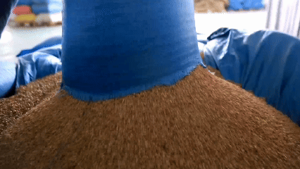 青稞“蜕变”牦牛“出圈”!看西藏农牧民的“十四五”丰收答卷(图5)