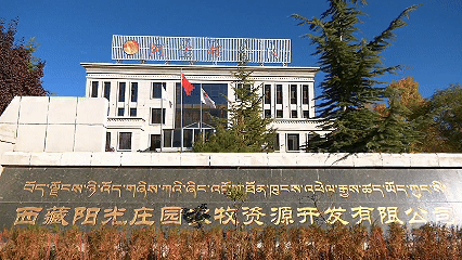 青稞“蜕变”牦牛“出圈”!看西藏农牧民的“十四五”丰收答卷(图11)