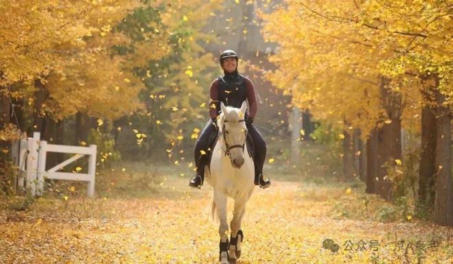 鲁能格拉斯-售楼处(鲁能格拉斯)官方网站-2025新首页-恭候莅临(图8)