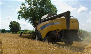 猪肉市场现状机遇深度调研分析2024(图4)